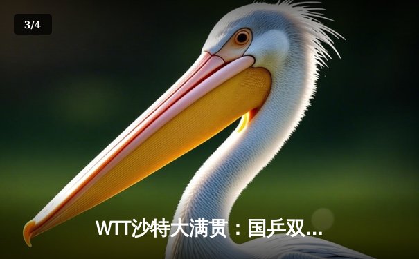 WTT沙特大满贯：国乒双冠闪耀混双赛场，王楚钦/孙颖莎三连胜展现强劲实力 - 3